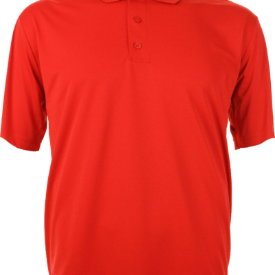 Hanes EcoSmart-Red Polo Shirt with Hughes Group Logo